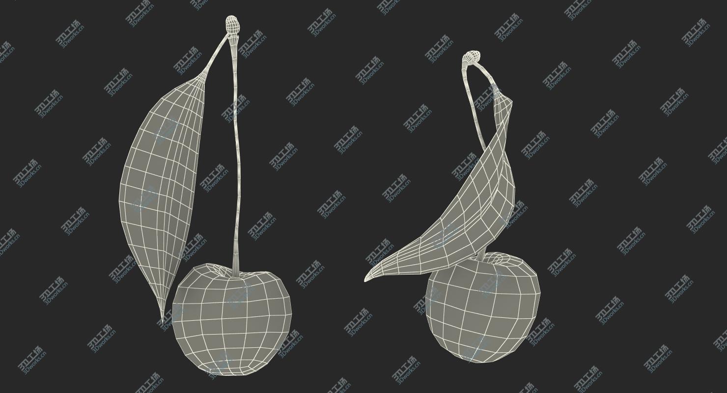 images/goods_img/20210319/3D Cherry Collection model/4.jpg